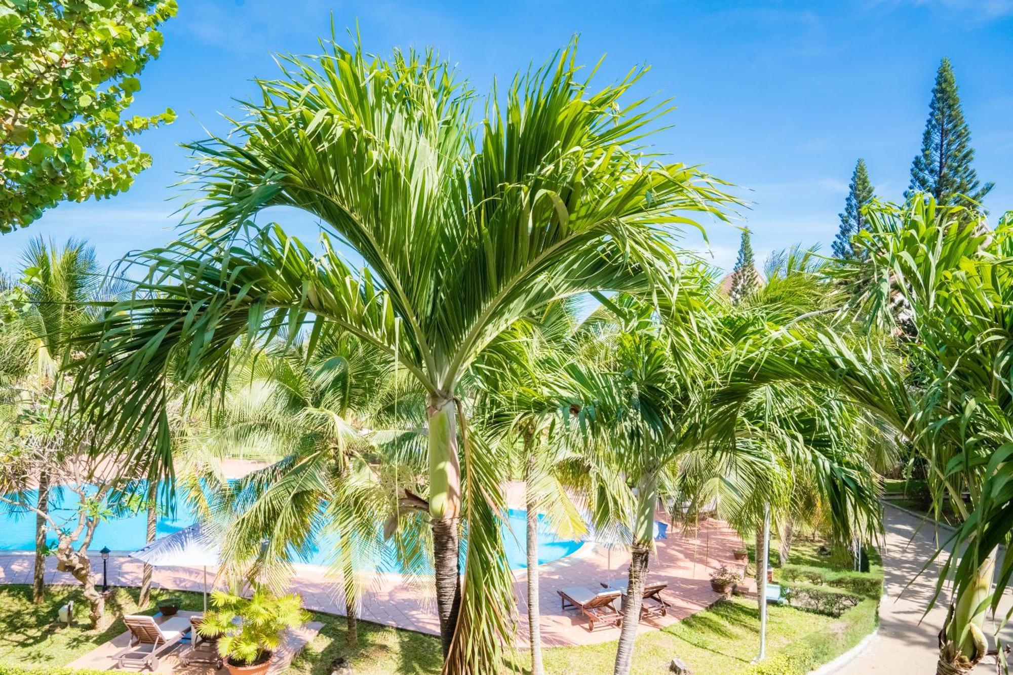 Lotus Vung Tau Resort & Spa Dış mekan fotoğraf